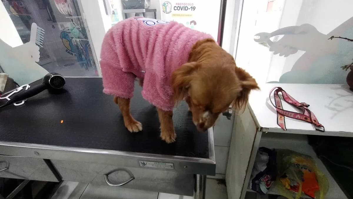 Veterinaria Pet Shop San Marcos