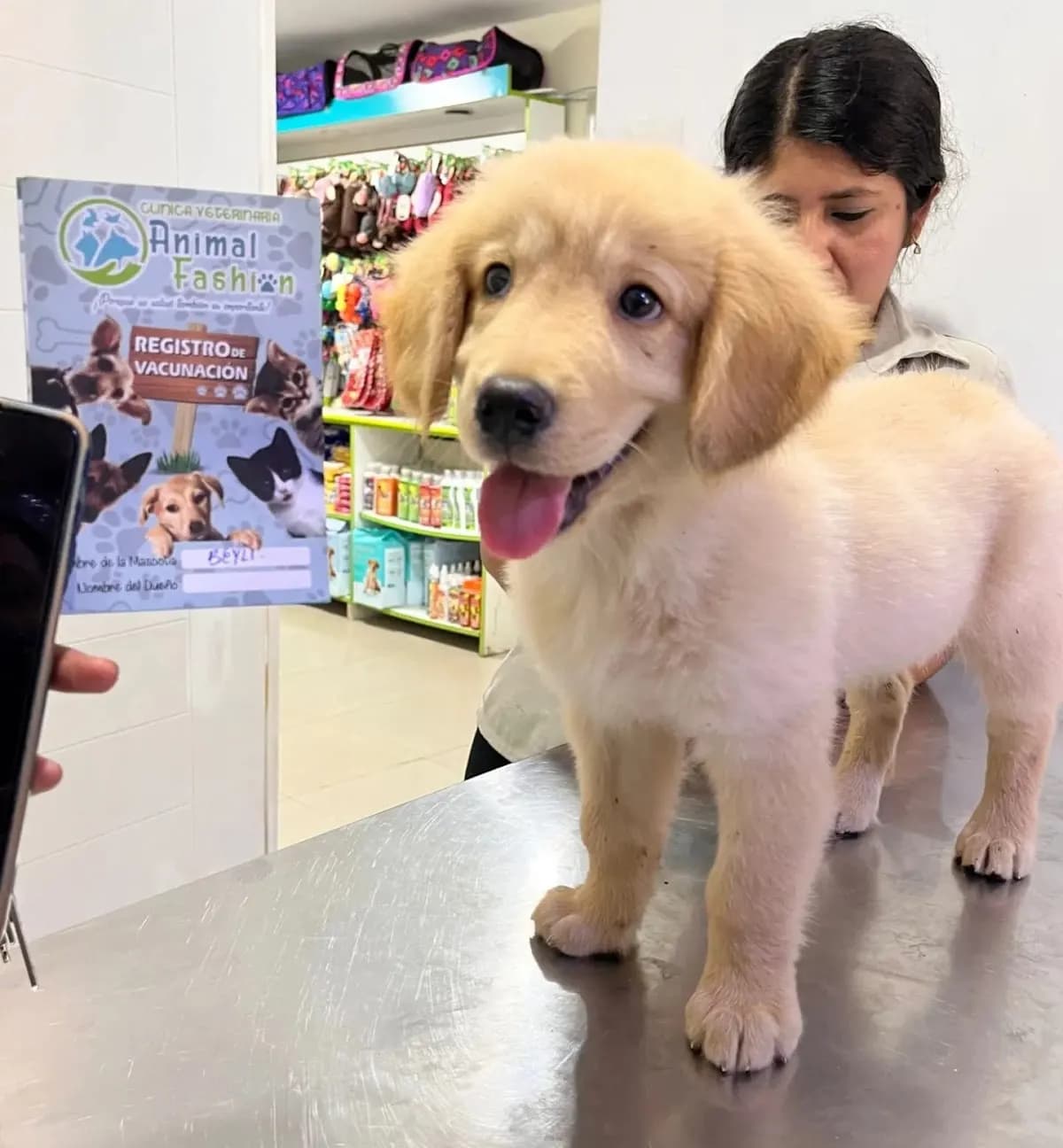 Animal Fashion Pet Shop - Veterinaria - Spá canino