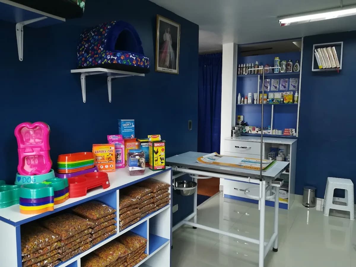 veterinaria Animal club