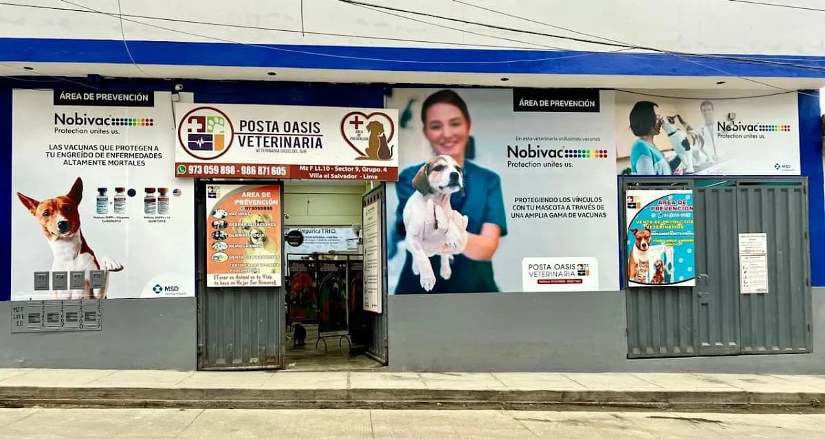 POSTA OASIS - AREA DE PREVENCIÒN